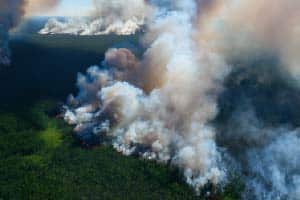 mc-inspektion-img-waldbrand